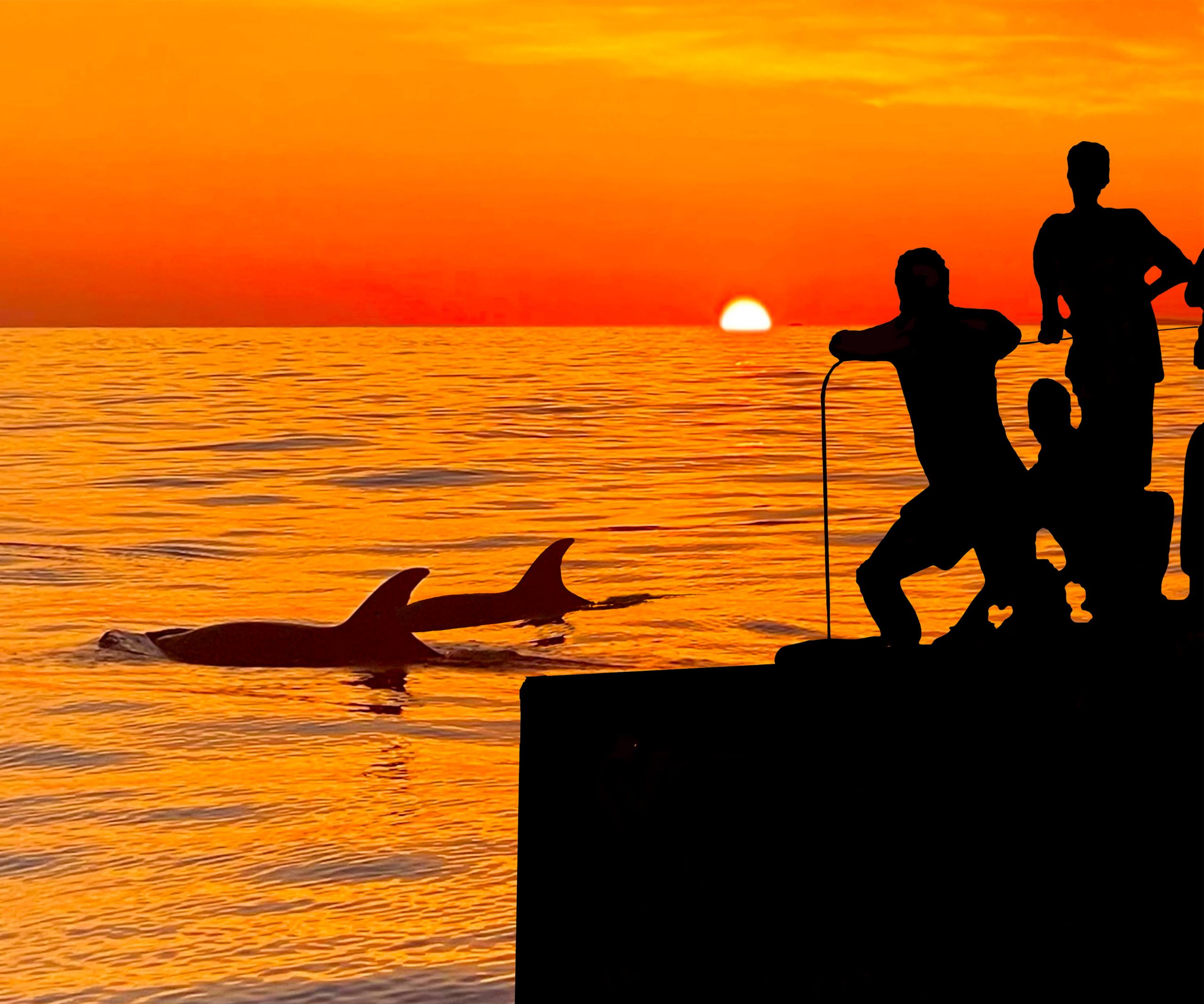 Sunrise with Dolphins Image
