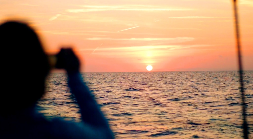 Sunset Catamaran Image